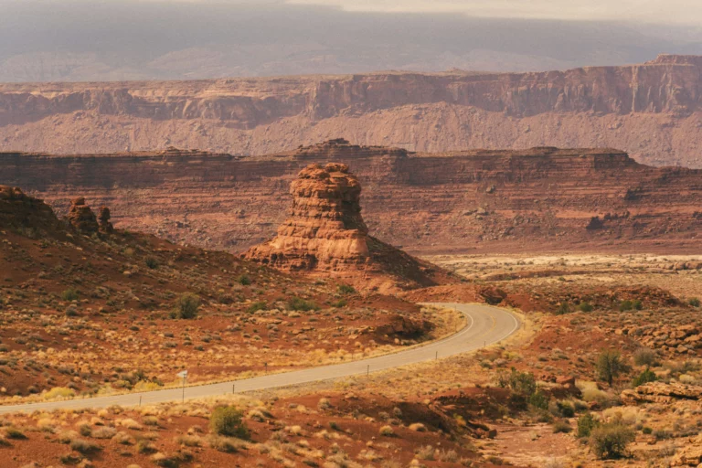 pexels-alexmoliski-34410861 copie